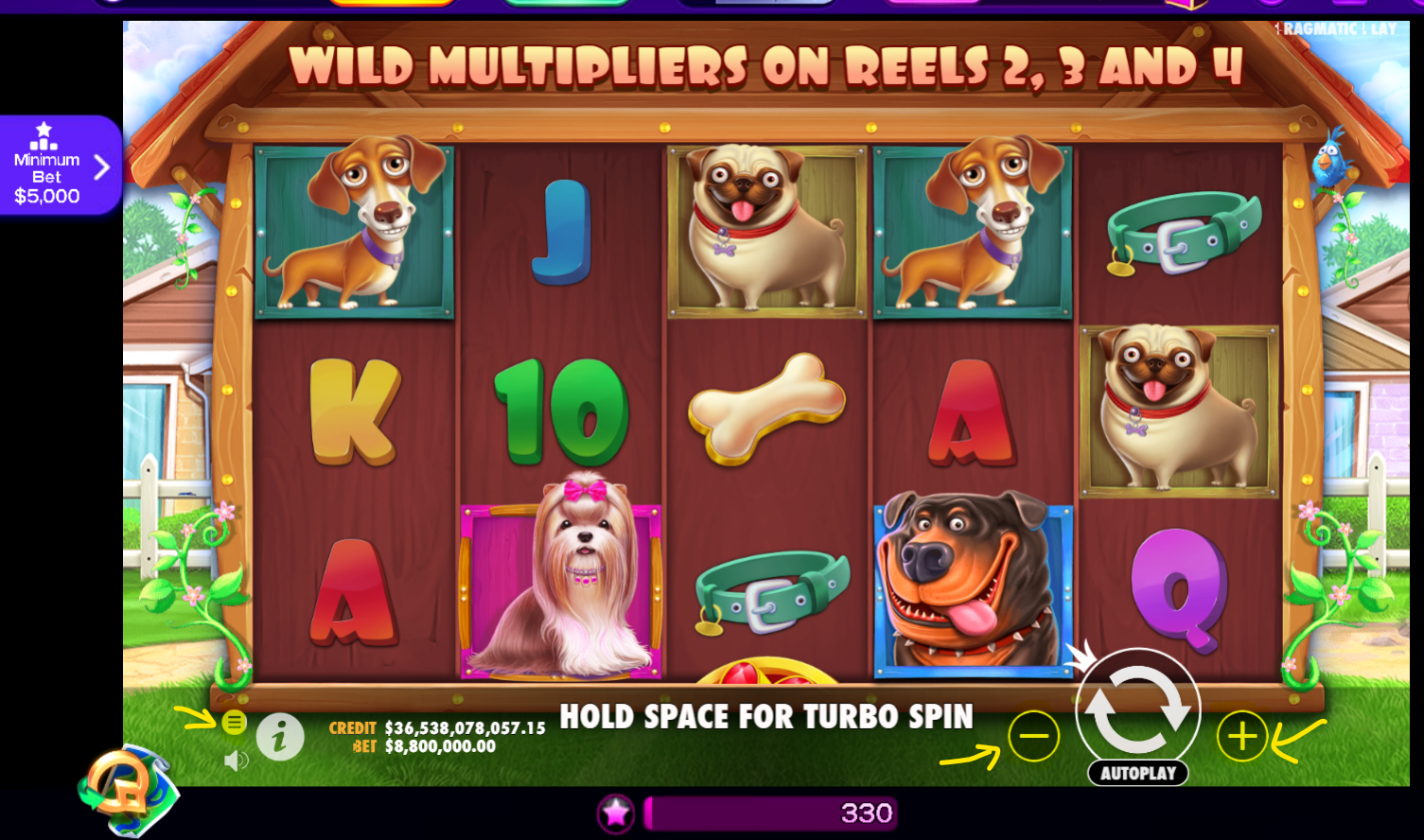 How do I bet on The Dog House game? – High 5 Games